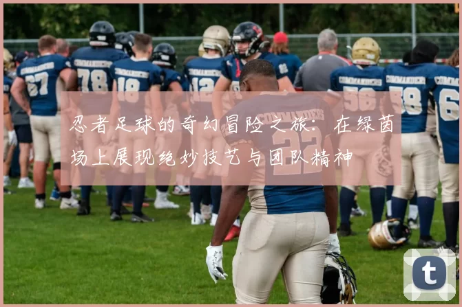 忍者足球的奇幻冒险之旅：在绿茵场上展现绝妙技艺与团队精神