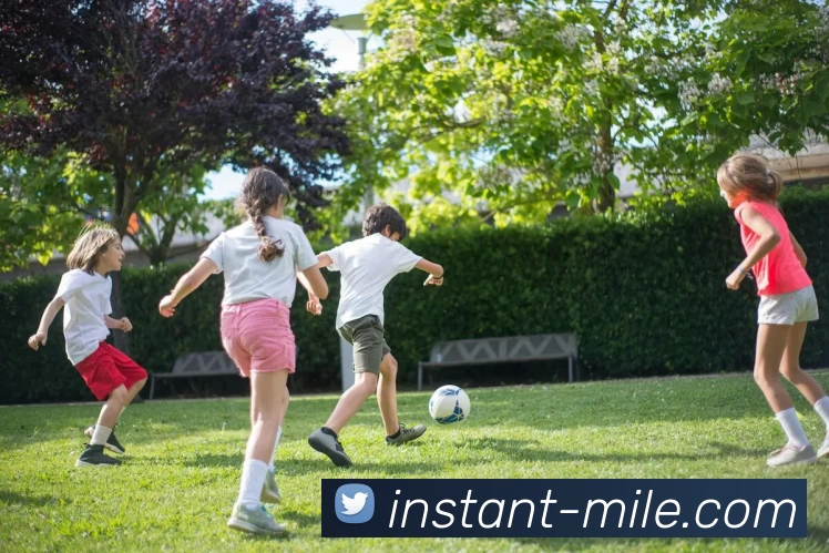 App Interface Preview