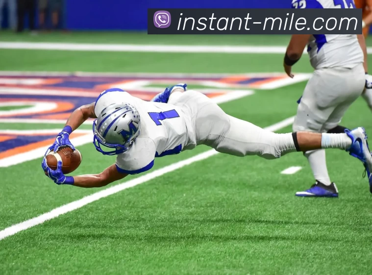 米乐体育APP 封面图